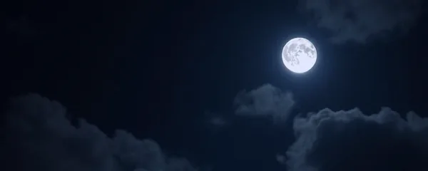 Calm banner: under the same moon: a lone silhouette, navy sky, one silver moon