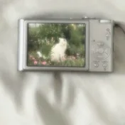 birch profile picture