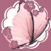 sumi profile picture